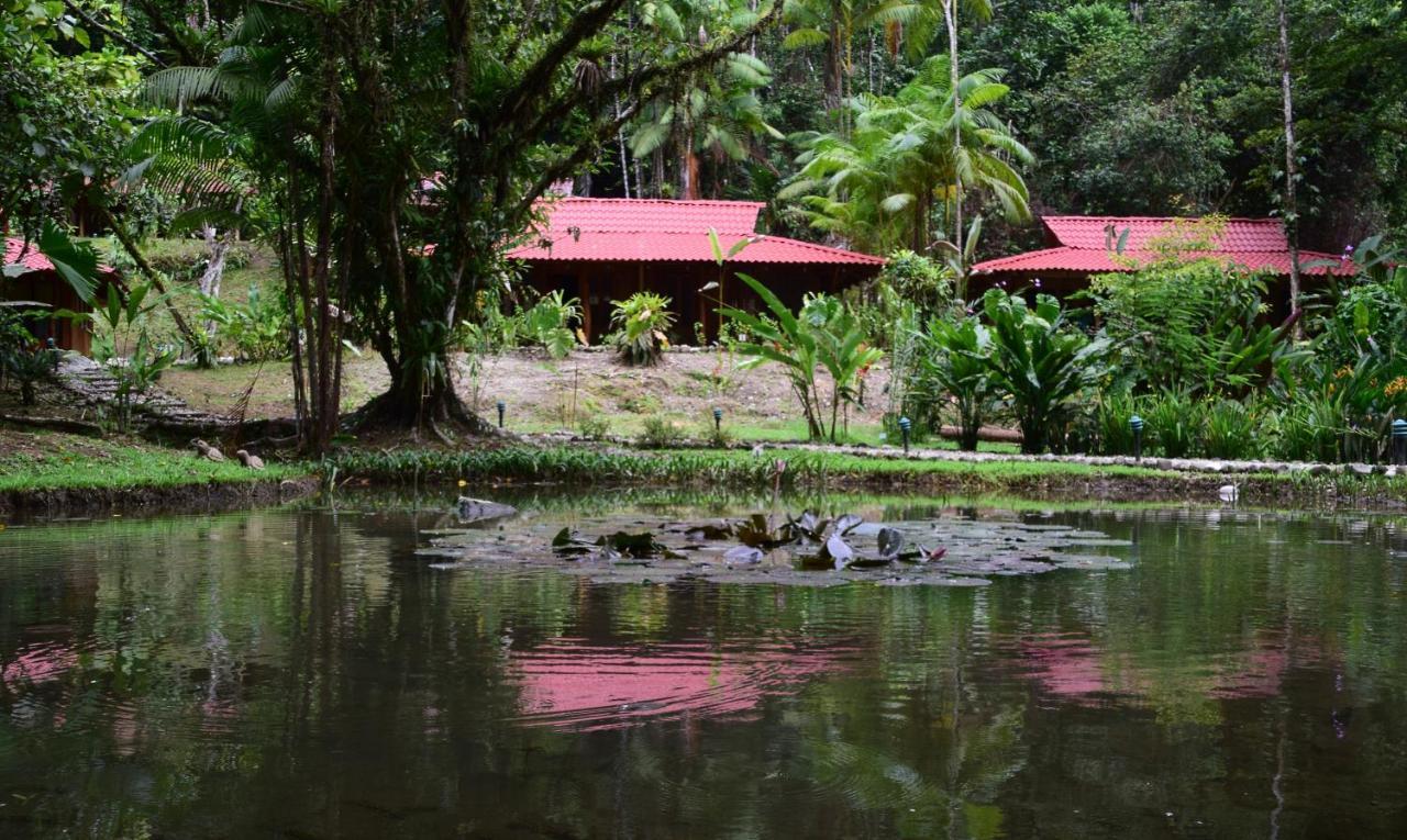 Esquinas Rainforest Lodge Golfito Esterno foto