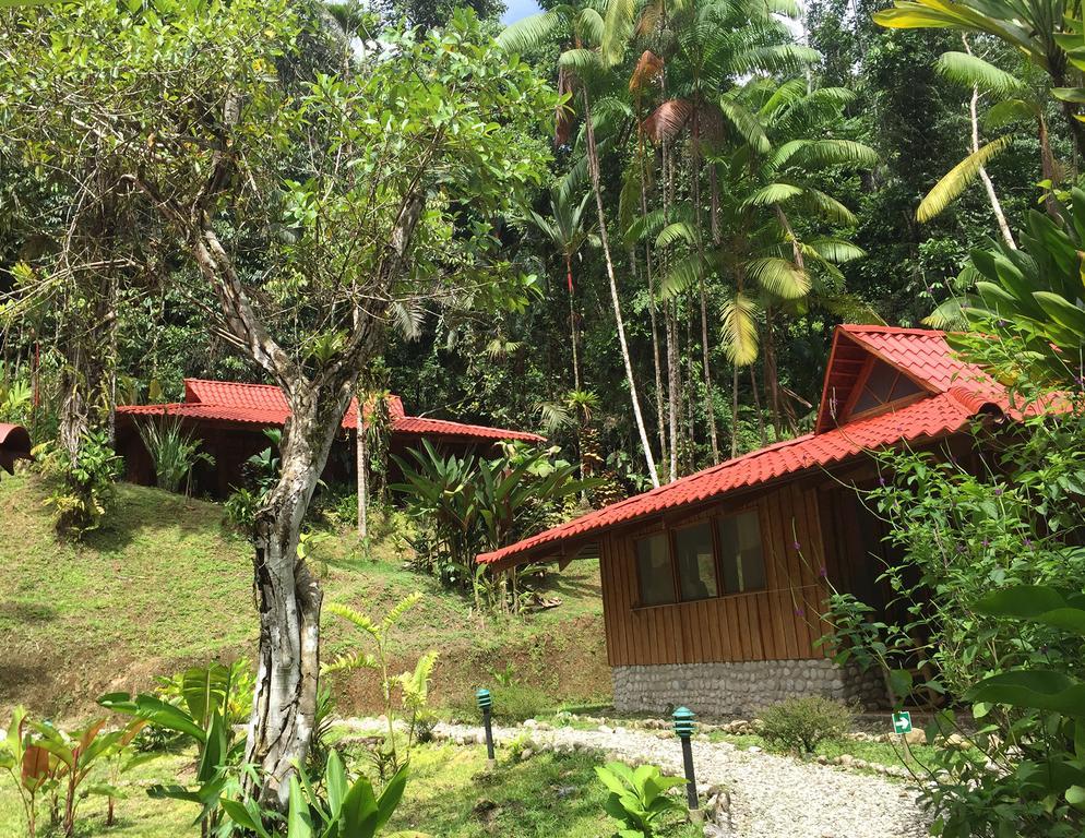 Esquinas Rainforest Lodge Golfito Esterno foto
