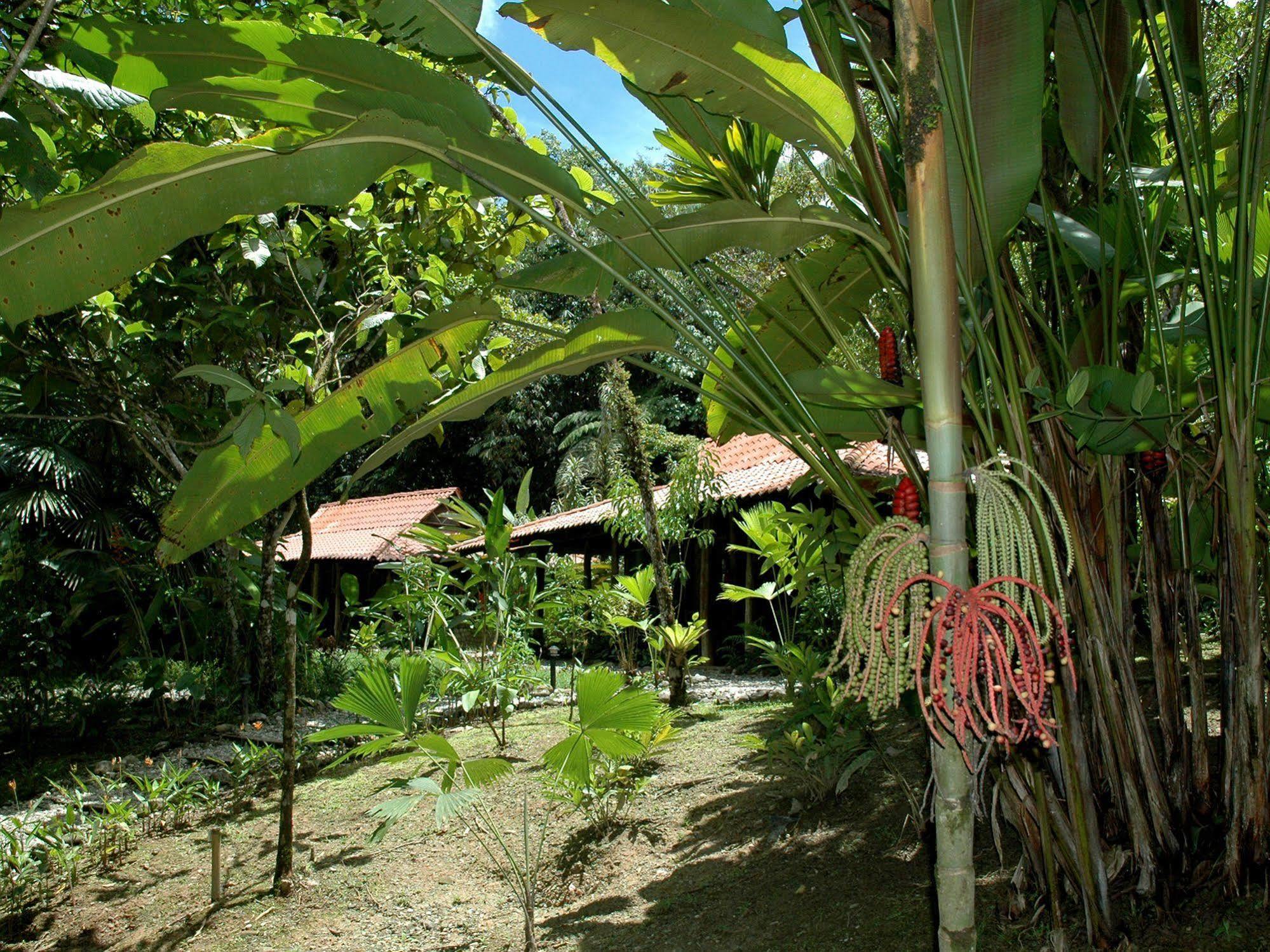 Esquinas Rainforest Lodge Golfito Esterno foto